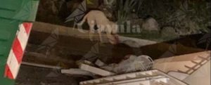 item-thumbnail