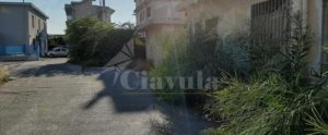 Rocco Femia denuncia: “Una vera e propria giungla urbana a Caulonia” item-thumbnail
