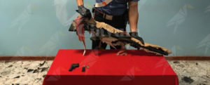 Sorpreso con armi e munizioni in casa, scattano le manette per un 46enne item-thumbnail