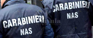 Truffa aggravata e falsità materiale: Deferiti 49 dipendenti dell’Asp di Reggio Calabria item-thumbnail