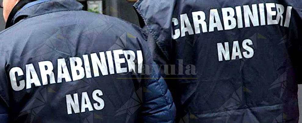 Finti corsi per operatore socio-sanitaro, sei arresti. Un giovane truffato si suicida