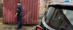 Indagano per un incendio e scoprono 41 esemplari di cardellini detenuti illegalmente item-thumbnail
