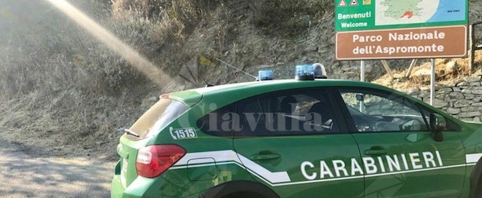 Calabria, attività antibracconaggio. I carabinieri forestali sequestrano varie armi. Otto persone denunciate