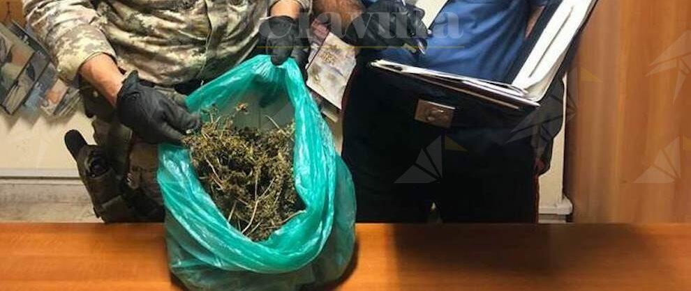 Nascondeva marijuana in casa: arrestato un pregiudicato