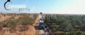 Recidivo nella coltivazione di marijuana, 31enne finisce in carcere item-thumbnail
