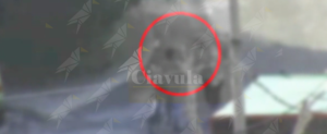 Blitz dei carabinieri contro una banda di spacciatori in Calabria, foto e nomi degli arrestati item-thumbnail