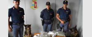 Cosenza, scoperta droga in casa grazie all’infallibile fiuto di Max item-thumbnail