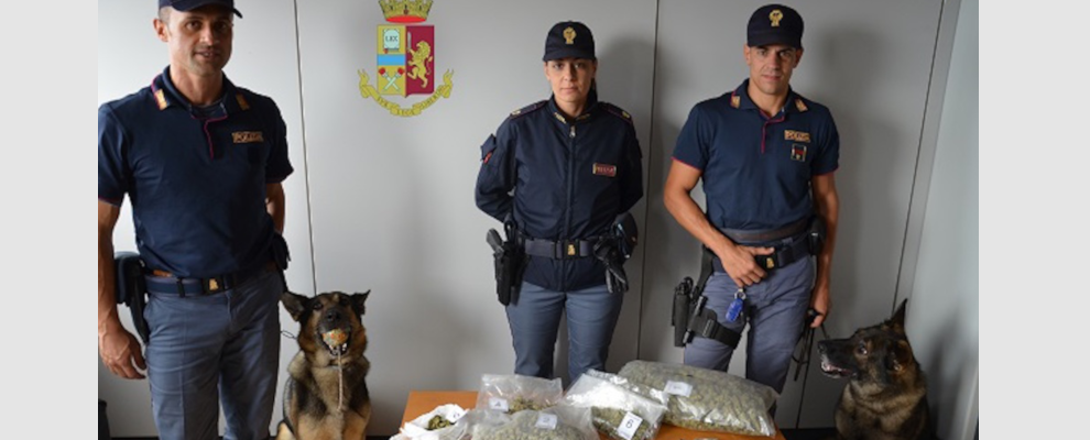 Cosenza, scoperta droga in casa grazie all’infallibile fiuto di Max