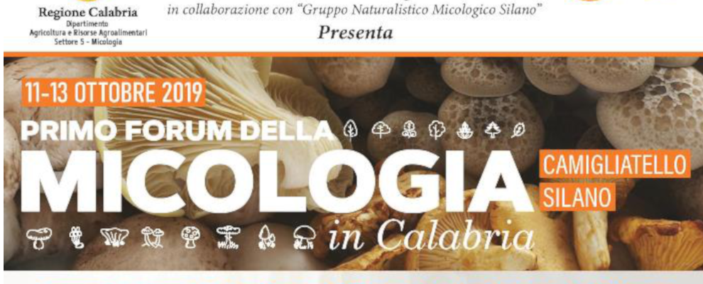 Oliverio parteciperà al “Primo Forum della Micologia in Calabria”