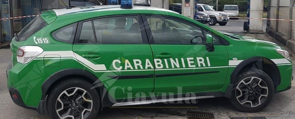 Autolavaggi scaricano nella rete fognaria comunale. Sequestrati 8 impianti in provincia di Reggio