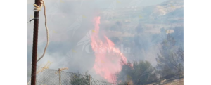 Incendio a Placanica – foto e video item-thumbnail