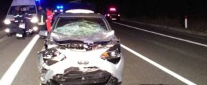 Prende in pieno un asino sulla Statale con la sua auto item-thumbnail