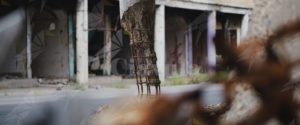 Aiello: “Solidarietà ai kurdi. L’Italia prenda una posizione netta e decisa” item-thumbnail