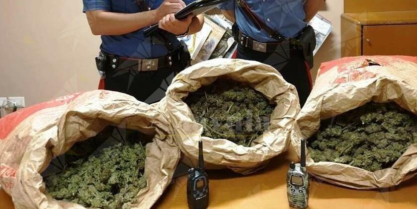 Sorpresi a San Luca con 9 kg di marijuana