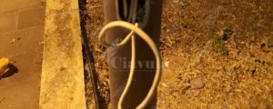 Lettore segnala: situazione di potenziale pericolo al parco giochi di Caulonia Marina item-thumbnail