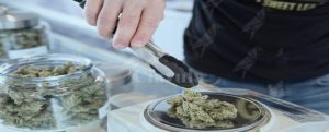 Denunciato 35enne per detenzione ai fini di spaccio di sostanze stupefacenti item-thumbnail