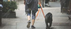 Sottoposto ai domiciliari viene sorpreso fuori a portare a spasso il cane, nuovamente arrestato item-thumbnail