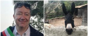 L’asino “abusivo” di Riace a cui demoliranno la casa replica al comune item-thumbnail