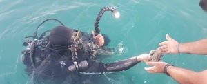 Ritrovati 11 kg di hashish nascosti sott’acqua. item-thumbnail