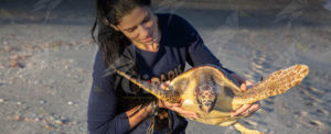 Raccolta fondi urgente: un’ambulanza per le tartarughe marine di Brancaleone item-thumbnail