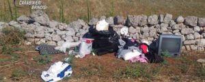 Controlli serrati dei carabinieri contro l’abbandono di rifiuti, una denuncia e numerose discariche abusive scoperte item-thumbnail