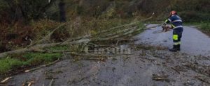Maltempo, il candidato alla Regione Nucera: “Chiediamo al Presidente Conte di interessarsi anche alla Calabria” item-thumbnail
