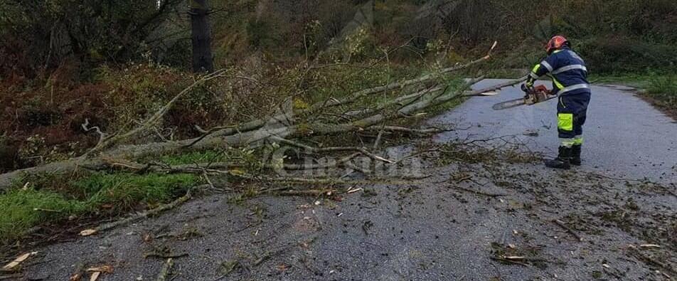 Alberi caduti hanno causato problemi alla viabilità. Domani l’allerta è gialla