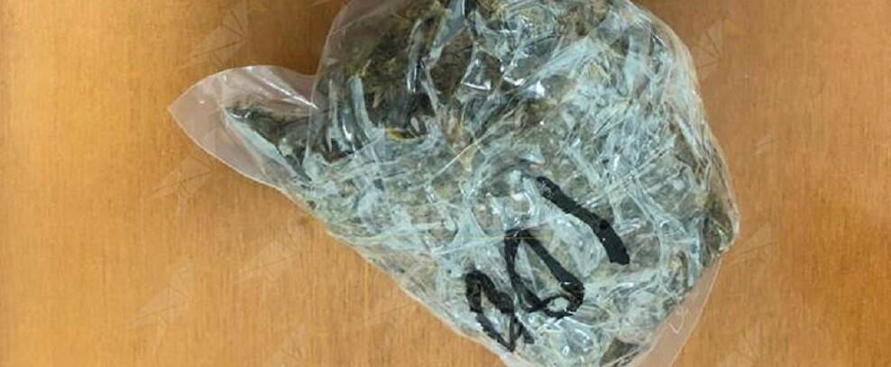 Tenta di sottrarsi al controllo, trovato con  100 grammi di marijuana e un grammo di cocaina, arrestato