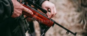 Calabria: deferito un uomo per la violazione della legge sulla caccia item-thumbnail