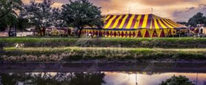 Gioia Tauro: arrestato artista del circo per detenzione illegale di un lanciarazzi item-thumbnail