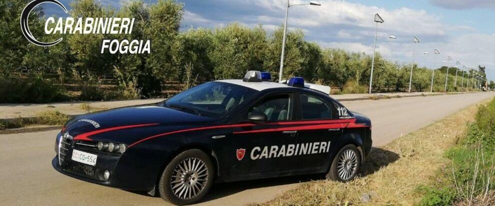 Sventato dai carabinieri l’ennesimo furto di olive