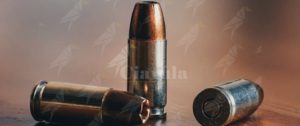 Aeroporto di Lamezia Terme: la Polizia di Frontiera Aerea denuncia un giovane cosentino per possesso di munizioni item-thumbnail