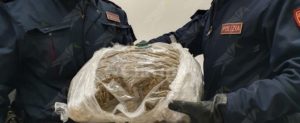 Trovato in possesso di 2 kg di marijuana, arrestato item-thumbnail