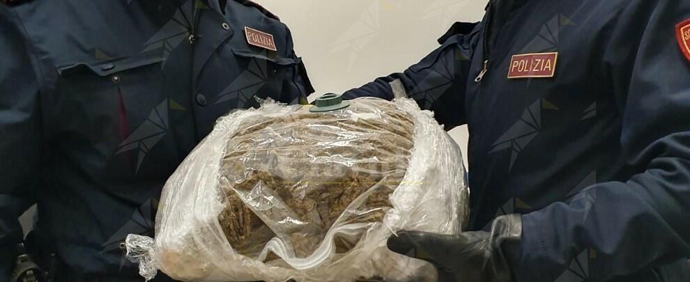 Trovato in possesso di 2 kg di marijuana, arrestato