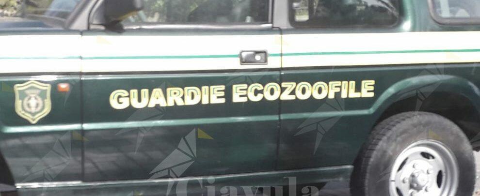 Le Guardie ecozoofile si scusano con la comunità di Caulonia