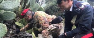 Fucile e cartucce trovati dai carabinieri nella Locride item-thumbnail