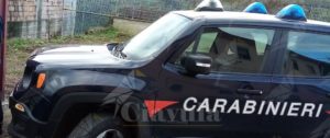 Irregolarità in un allevamento di suini ad Ardore, sanzioni per 300 mila euro item-thumbnail