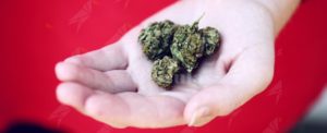 Spacciava mentre era ai domiciliari, arrestato dalla polizia item-thumbnail