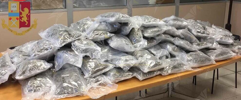 La polizia sequestra circa 60 kg di marijuana