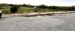 In corso la rimozione dei cassonetti dell’indifferenziata dalle vie di Caulonia item-thumbnail