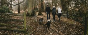 Porta a passeggio i propri cani, in realtà è uno spacciatore item-thumbnail