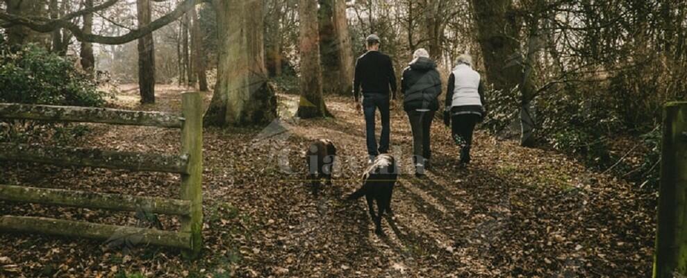 Porta a passeggio i propri cani, in realtà è uno spacciatore