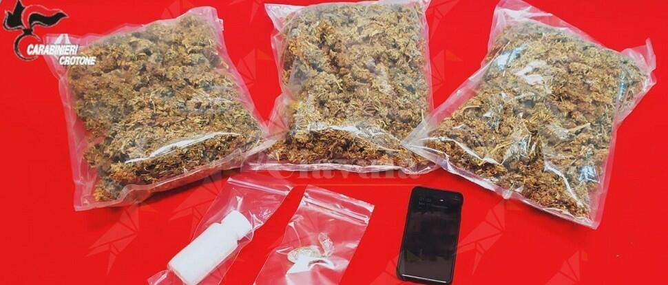 Calabria: sorpreso in auto con 750 grammi di marijuana, arrestato