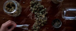 Trovato in casa con 7 Kg di sostanze stupefacenti, arrestato 60enne item-thumbnail