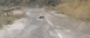Segnalazione da Caulonia: “Pericolo sulla SP90, masso in strada” item-thumbnail
