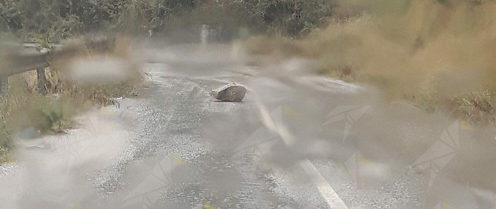 Segnalazione da Caulonia: “Pericolo sulla SP90, masso in strada”