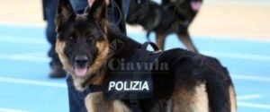 Segnalato minore trovato in possesso di un coltello a serramanico item-thumbnail