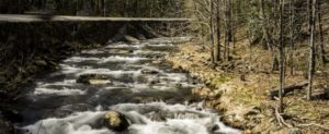 Donna precipita nel torrente, salvata dai carabinieri item-thumbnail