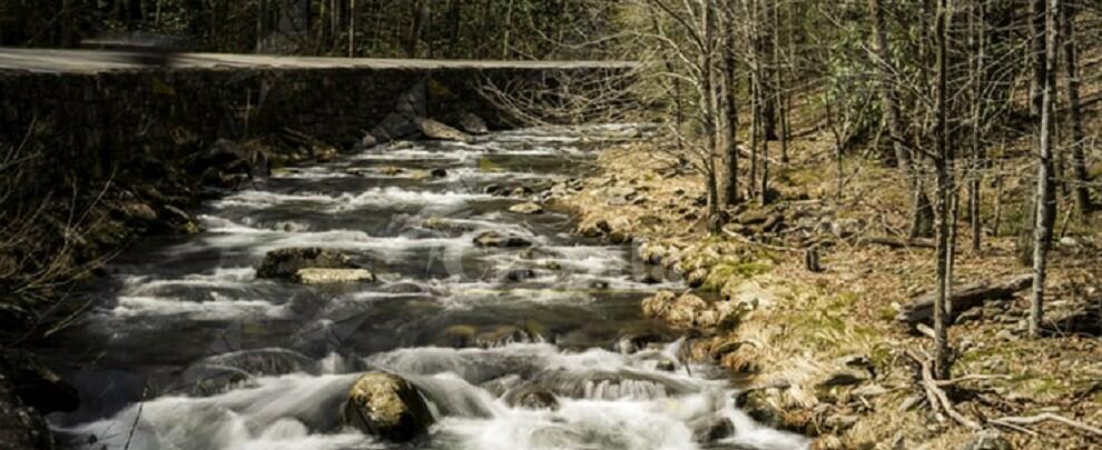 Donna precipita nel torrente, salvata dai carabinieri