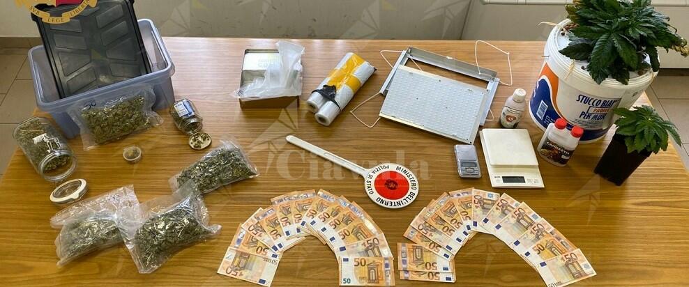 Coltivava marijuana per spaccio, e con la stessa preparava pane e dolci. La polizia arresta giovane studente di ingegneria